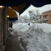 neve_morciola_1