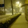 nevicata_morciola_22