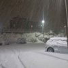 nevicata_morciola_26