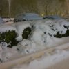 nevicata_morciola_28